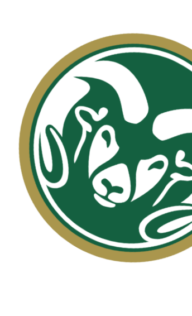 csu logo